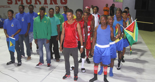 GOA president calls for an alliance among Caribbean boxing associations