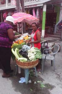 Fresh vegetables are always available in the village