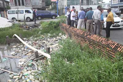 A section of the Sussex Street canal where works are set to begin