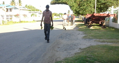 Youths returning to the village after their rampage on the genip trees