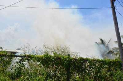 Smoke emanating from the grass fire at Beterverwagting