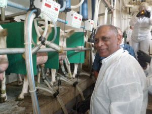 Agriculture Minister Dr Leslie Ramsammy observes dairy milking at Grasshill Farms in Ontario, Canada