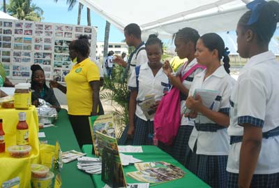 A group of students viewing one of the many exhibits at NAREI’s open day.