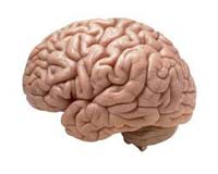 Good Brain