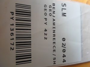 Reece’s boarding passes issued by SLM on her way out of Guyana to Miami.