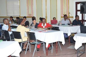Regional Health Officers, Programme Heads and other health officials