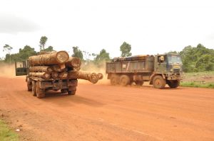 Trucks transporting lumber on the Mabura Road