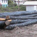  Piles tarred and ready to be driven into the earth for the foundation of the pump at Lima 