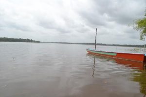  A scene of the Corentyne River from the Orealla Community