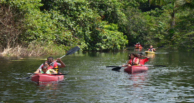 Kayaking along the black waters of the Kamuni Creek