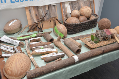 Some of the herbs used at the clinic