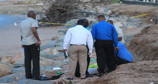 Investigators examine the body of the dead couple
