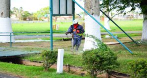 The vegetation at the Sophia Exhibition Centre being cleared in preparation for the Expo which is a few days away (Samuel Maughn photos)