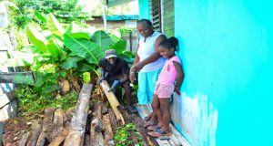 Jillian Jemmott shares a joke with a neighbour who helps her pack up some wood in her yard. Her great-niece Jasmine stands aside.
