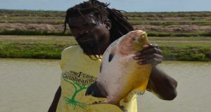 A worker holds up a tambaqui fish