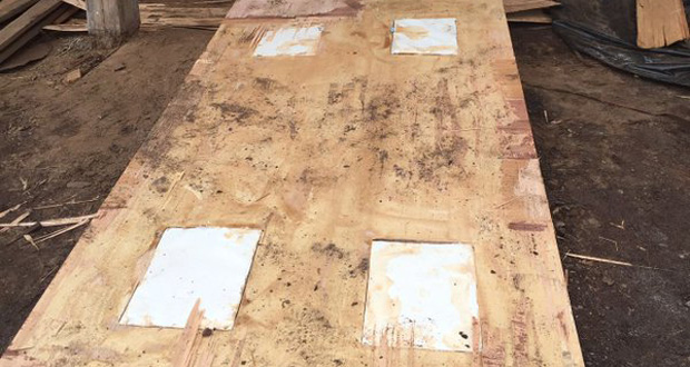 Drug enforcement officers on Thursday intercepted a large quantity of cocaine concealed in plywood and destined for Florida [GRA photo)