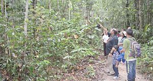  Prime Minister Moses Nagamootoo and his family looking at several birds along a trail at Iwokrama 