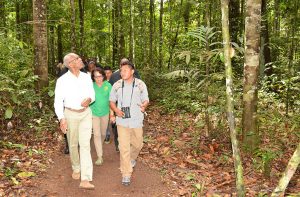 President Granger during a tour of the Canopy Walkway at Iwokrama, the research centre which lies at the very heart of Guyana and is a 'green' haven teeming with rich biodiversity 