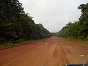 The Mabura trail