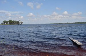 The breathtaking Tapakuma Lake, Essequibo Coast, Region Two 