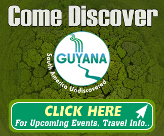 Guyana Revenue Authority – Side Bar 2 (324×270)