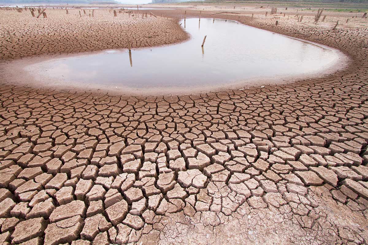 desertification-and-drought-day-guyana-chronicle