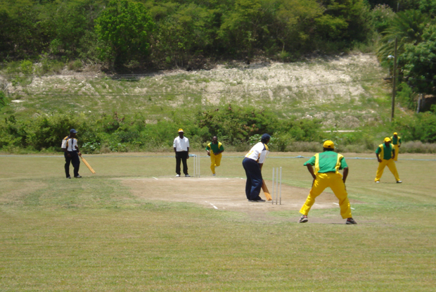 softball-cricket