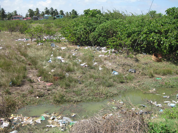 A playfield at Tain where refuse is constantly thrown