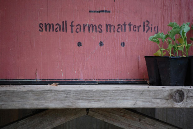 small-farms-matter