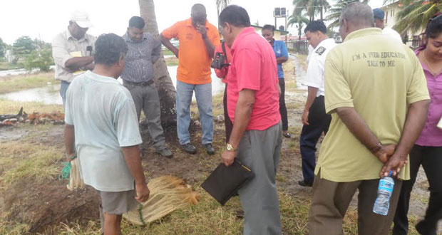 Minister Alli Baksh and PS George Jarvis inspecting a catch from one of the fish ponds at the Anna Regina Fish Station