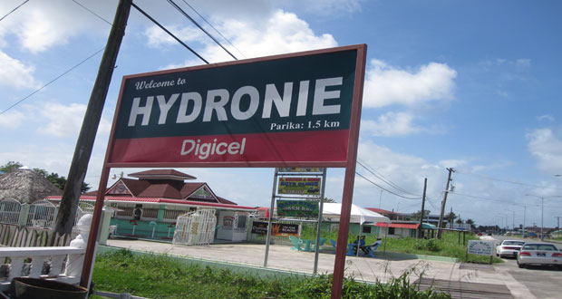 Welcome to Hydronie Village