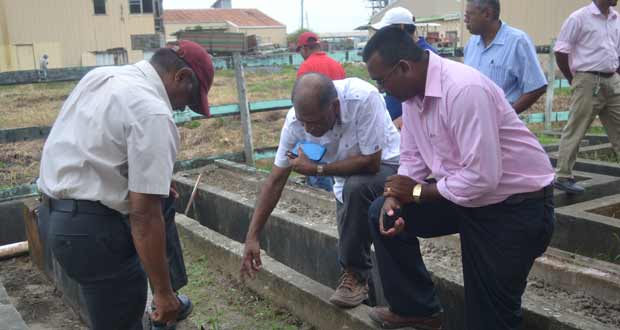 Agriculture Minister, Dr. Leslie Ramsammy (second right); GRDB General Manager, Mr Jagnarine Singh (wearing cap), and Chief Scientist, Dr. Mahendra Singh inspect a pedigree nursery