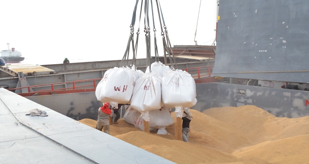 Workers loading paddy destined for Venezuela onto a vessel at Muneshwers' Wharf, yesterday (Kawise Wishart photo)