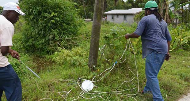 GPL workers investigate an illegal connection in Long Pond, Sisters Village
