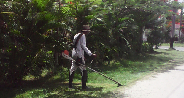 Keeping the village quite clean and beautiful