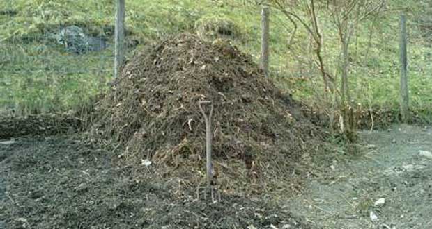 A compost heap with a fork for scale