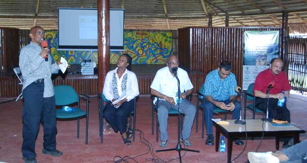 Mayor Green addressing the panel, in particular Local Government Minister Norman Whittaker