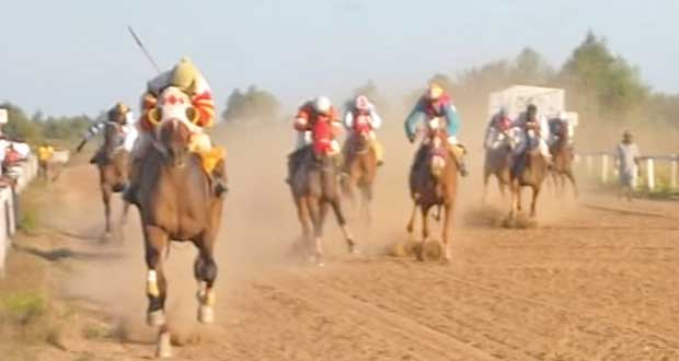 Horse-Race-Pic