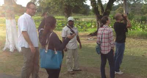 Participants engaging in bird watching at the Botanical Gardens