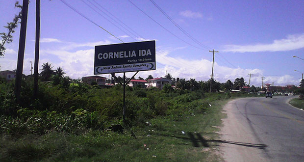 Welcome to Cornelia Ida