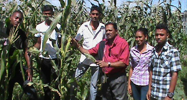 Minister Baksh with students of GSA inspecting corn planted in the school compound at Cotton Field, Essequibo Coast