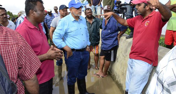 Region 2 Chairman Parmanand Persaud and President Donald Ramotar speaking with National Drainage and Irrigation Authority Head, Lionel Wordsworth and other officials at the Lima Outfall on the Essequibo Coast