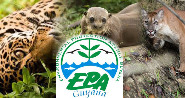 epa_environmental_protection_agency