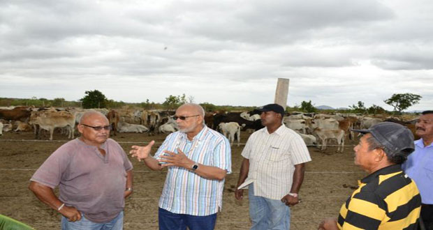 President Donald Ramotar makes a point to one of the technical personnel at the Meriwau ranch, Region Nine