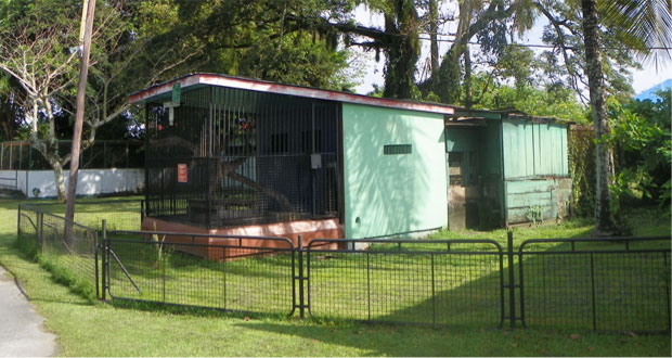 The wooden and metal enclosed ‘green’ space in its current condition.