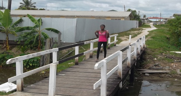 The timber footpath bridge linking the communities of Kaneville and Samatta Point, East Bank Demerara