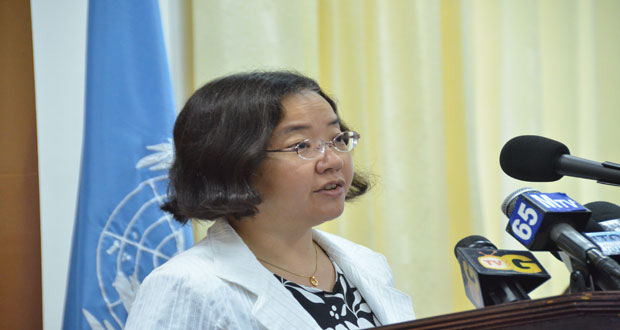 UNDP representative, Chisa Mikami
