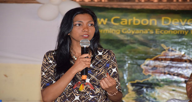Head of the Office of Climate Change, Gitanjali Chandarpal making her presentation