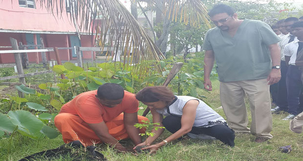 Swami Shivshankar and Mrs. Ramotar plant a sijan tree at the Ashram in observance of International Earth Day as Dr Mohanlall looks on.