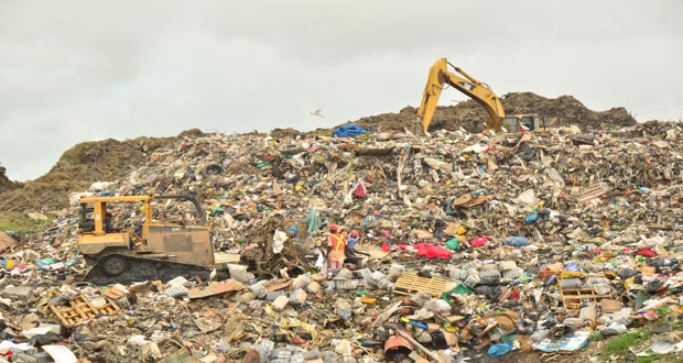 A section of the Haags Bosch sanitary landfill